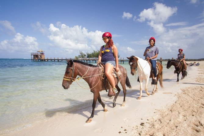Horseback Riding on the Beach in Punta Cana (One Hour) - From forest trail to Bavaro Beach