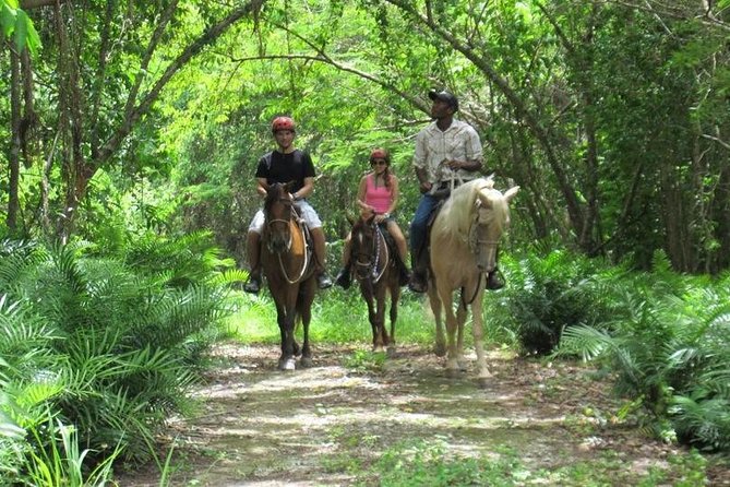 Horseback Riding on the Beach in Punta Cana (One Hour) - A one-hour ride with room to slow down