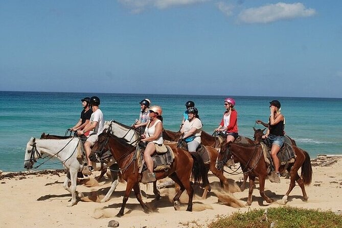 Horseback Riding on the Beaches of Punta Cana - Key points to know before you ride