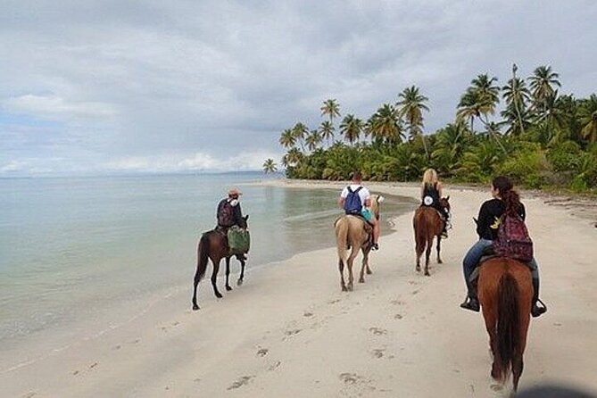Horseback Riding on the Beaches of Punta Cana - What the roughly 90-minute outing includes