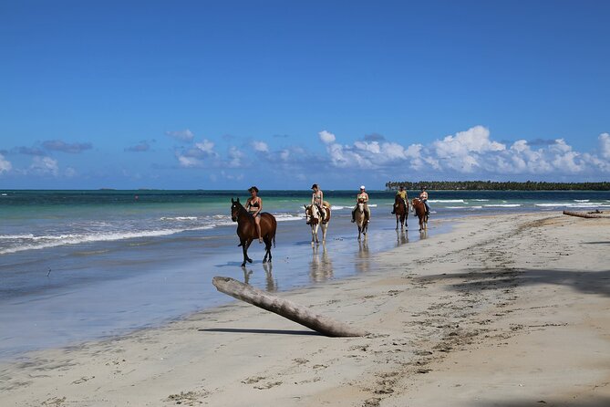 Horseback Riding on the Beaches of Punta Cana - Who will enjoy this beach ride most