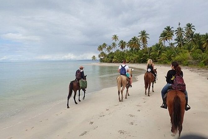 Horseback Riding on the Beaches of Punta Cana - What the published score tells you