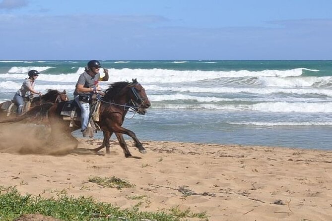 Horseback Riding to Maimon River from Punta Cana - What the forest and countryside route gives you