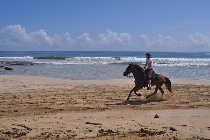 Horseback Riding Tour Adventure on the Beach - Is $99 a fair price for this Punta Cana ride?