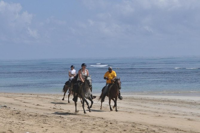 Horseback Riding Tour Adventure on the Beach - How difficult is the four-hour outing?