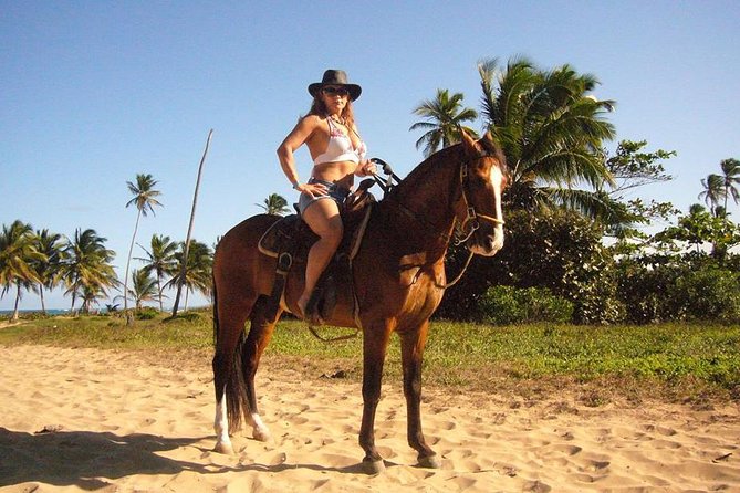Horseback Riding Tour Adventure on the Beach - Getting matched with a horse and learning the basics