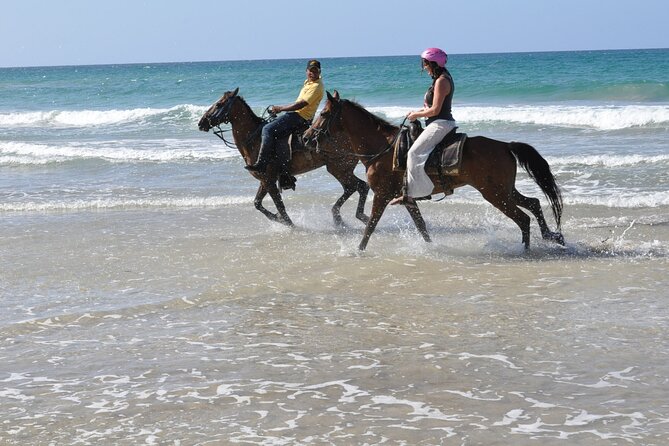 Horseback Riding Tour on the Beaches of Punta Cana - Who will enjoy this ride most
