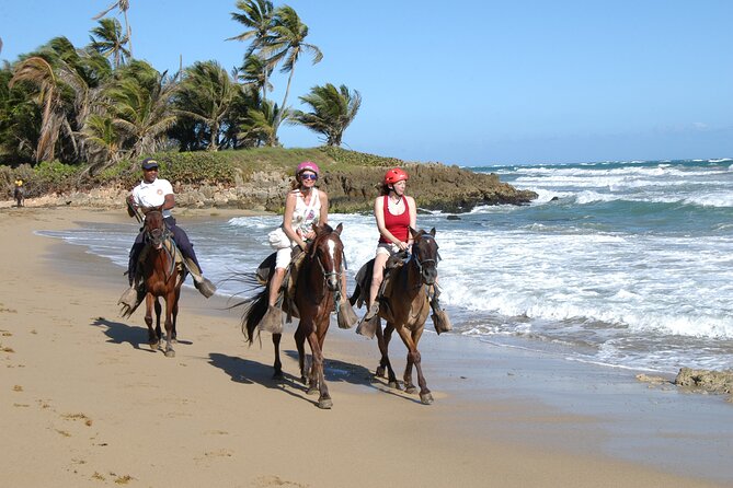 Horseback Riding Tour on the Beaches of Punta Cana - Is $54 a fair price?