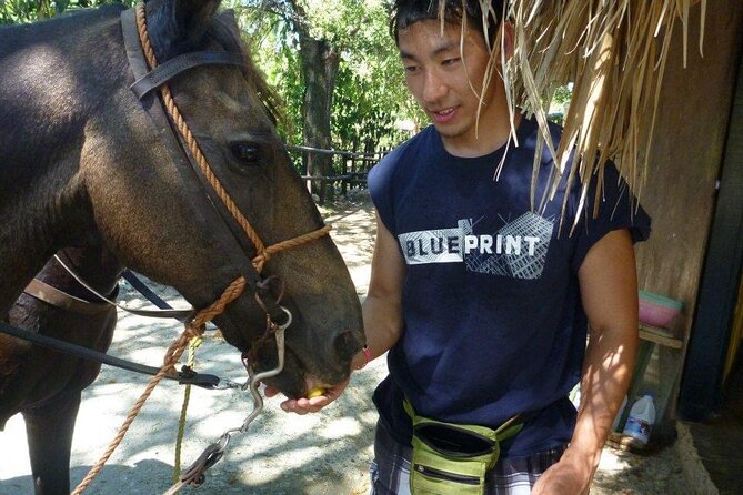 Horseback riding tours from amber cove & Taino bay port silver - Should you book this Puerto Plata horseback ride?