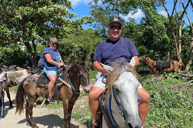 Horseback riding tours from amber cove & Taino bay port silver - Horses, guides, and the comfort level