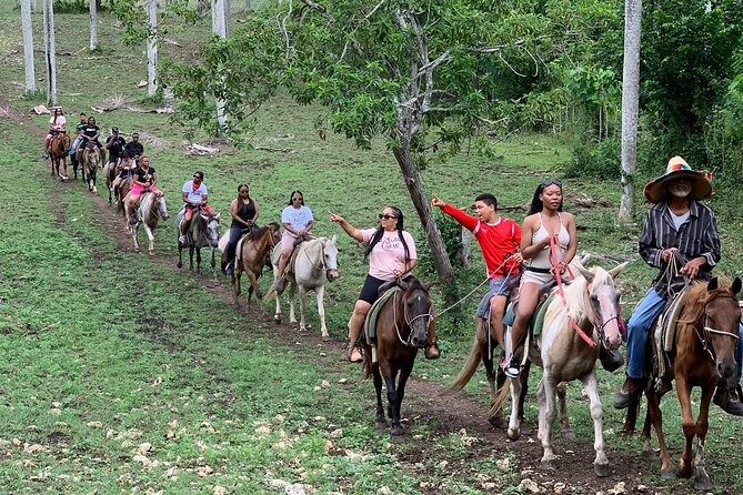 Horseback Riding with Pickup from Punta Cana - Key Points Before You Ride