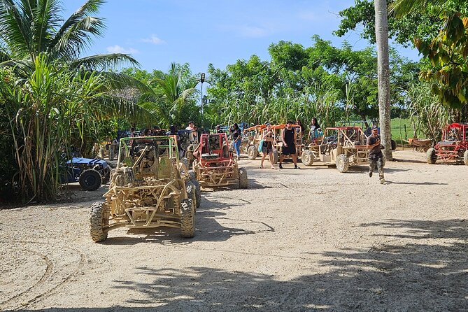 Horses, Buggy, and plantation in Chocaci Ranch - Key points to know before you book