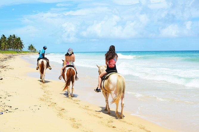Horses, Buggy, and plantation in Chocaci Ranch - A working ranch beyond Punta Cana’s resort strip