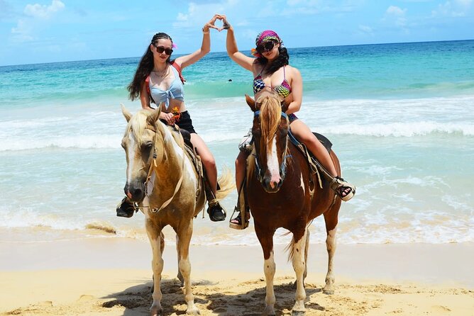 Horses, Buggy, and plantation in Chocaci Ranch - Your arrival and the guides who shape the visit