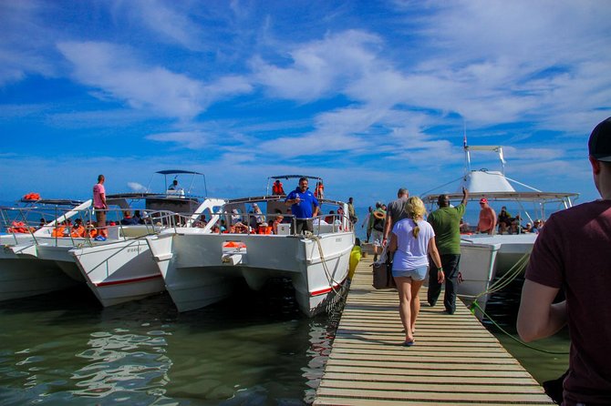 Humpback whales Watching + Samana Eco-Tour - Lunch and two hours at Cayo Levantado