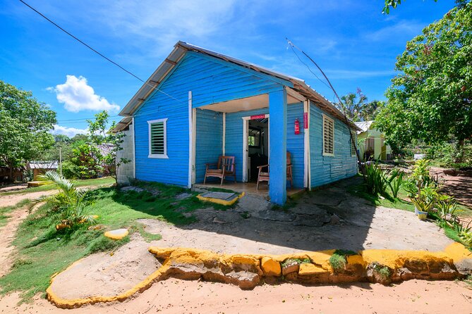 Immerse in Dominican Culture: Private Community Tour - Chukka Coconut Cove brings the sea at the right time