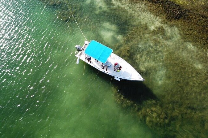 Inshore & Fly Fishing Punta Cana Private charter at Marina Cap Cana - The private format and its real value