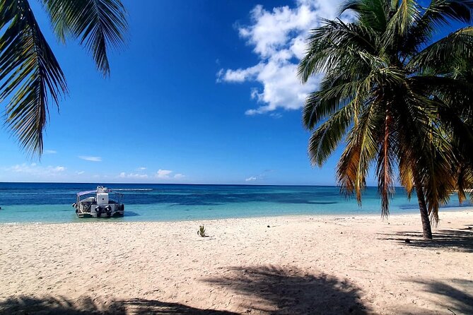 Island DE Saona: EN Small Group Tour on Trimaran Motorise - Why this Saona trip feels different