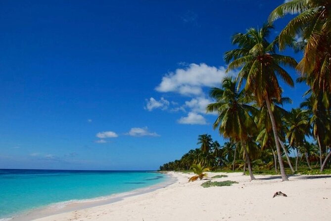 Island DE Saona: EN Small Group Tour on Trimaran Motorise - Palmilla and the natural swimming pool