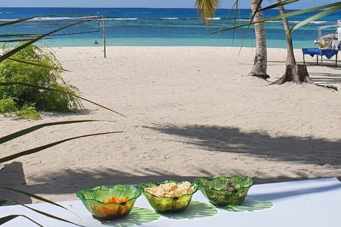 Island DE Saona: EN Small Group Tour on Trimaran Motorise - What the $110 price really covers