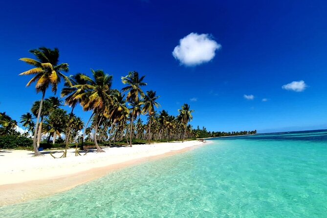 Island DE Saona: EN Small Group Tour on Trimaran Motorise - Who will enjoy this day most