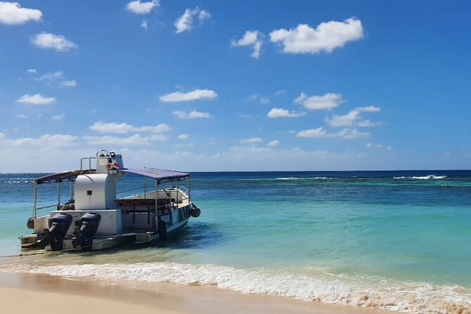 Island DE Saona: EN Small Group Tour on Trimaran Motorise - Weather, cancellations, and simple planning