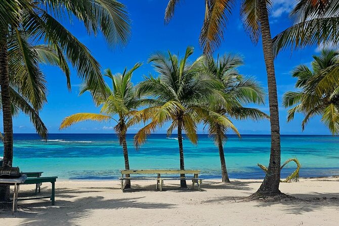 Island DE Saona: EN Small Group Tour on Trimaran Motorise - Mano Juan, the village and turtle nursery