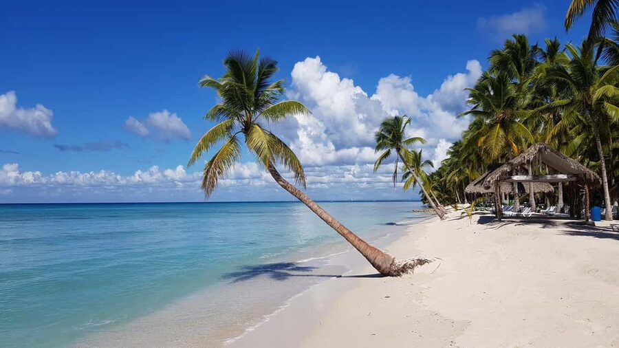 Juan Dolio: Saona Island Full-Day Tour with Lunch & Drinks - Key Points at a Glance