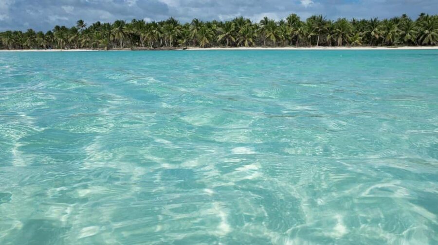Juan Dolio: Saona Island Full-Day Tour with Lunch & Drinks - What This Juan Dolio to Saona Trip Is Really Like