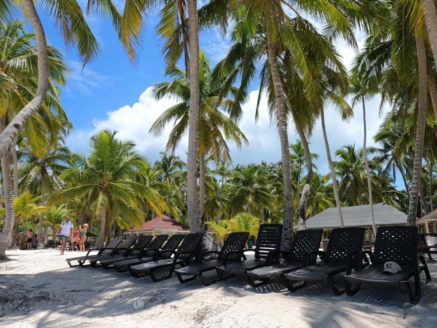 Juan Dolio: Saona Island Full-Day Tour with Lunch & Drinks - The Early Ride From Juan Dolio