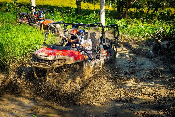 Jungle Buggies and Monkeyland from Punta Cana - Key Points