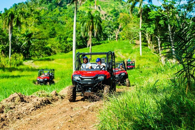 Jungle Buggies and Monkeyland from Punta Cana - Two Punta Cana Adventures in One Day