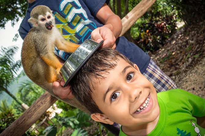 Jungle Buggies and Monkeyland from Punta Cana - Swimming at the Anamuya River