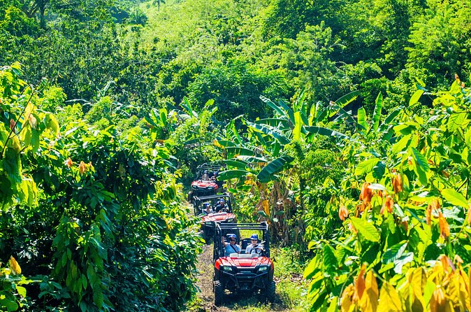 Jungle Buggies + Ziplines Adventures - The river stop and local food displays