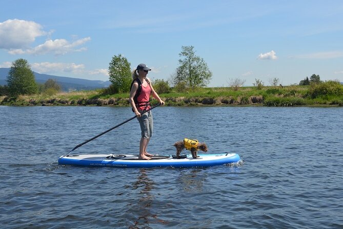 Kayak or Paddleboard Rentals Sosua , Cosita Rica, Neptuno Beach - Where you should use a little caution