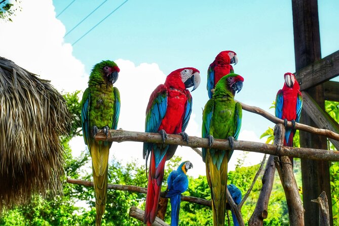 La Hacienda Park Tour - Six things to know before booking