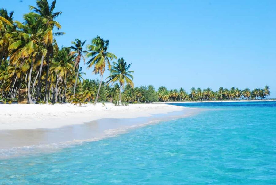 La Romana: Saona Crusoe VIP for cruise guests - Mangroves and protected coastal habitat