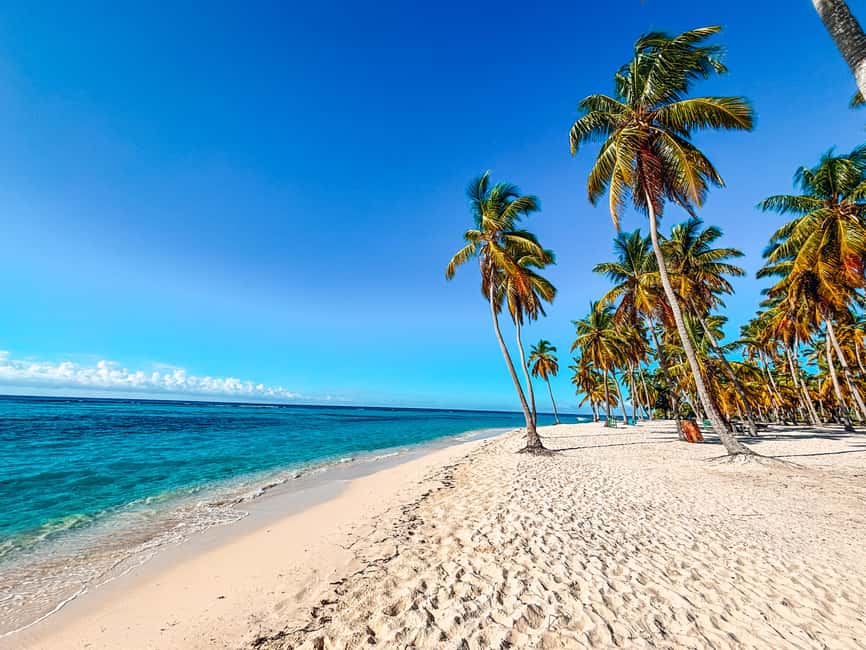 La Romana: Saona Crusoe VIP for cruise guests - From the cruise port to Cotubanamá National Park