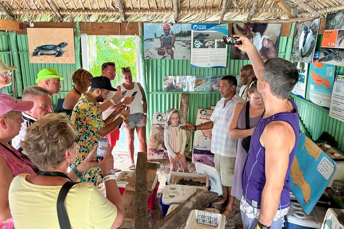 La Romana: Saona Crusoe VIP - Kreuzfahrtgäste - Mangroves and the natural life of Saona
