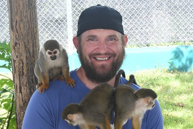 land of monkeys and silver port city tour - A short walk through Puerto Plata’s colorful center