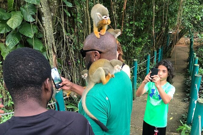 land of monkeys and silver port city tour - Lunch at a family restaurant