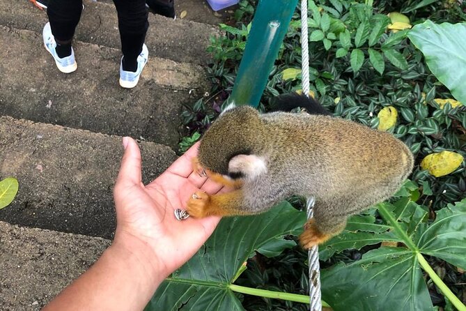 land of monkeys and silver port city tour - What the $120 price means
