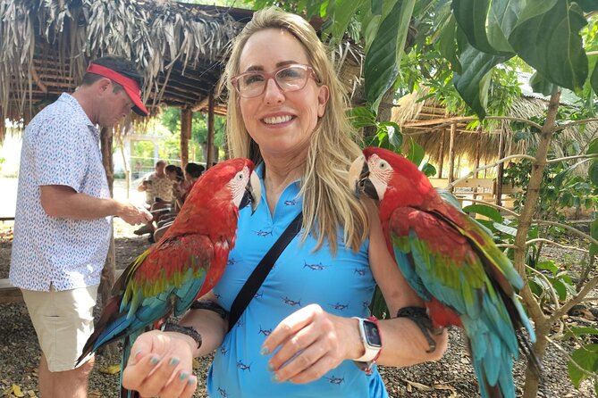 land of monkeys and silver port city tour - Who will enjoy this Puerto Plata day