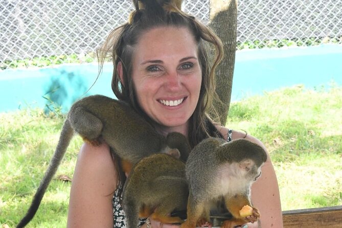 land of monkeys and silver port city tour - Fruit, juice, and everyday Puerto Plata