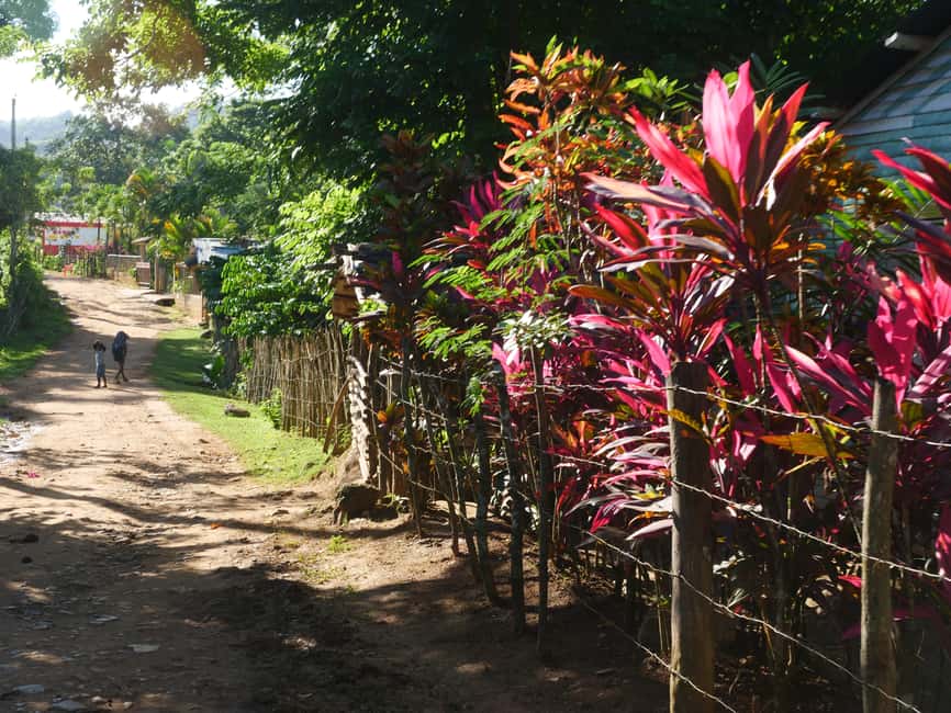 Las Terrenas: El Limón Waterfall Trekking Tour in Samana - The ride from Las Terrenas to the trail