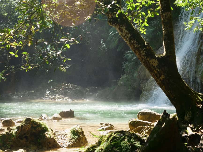 Las Terrenas: El Limón Waterfall Trekking Tour in Samana - One hour in the pool beneath the falls