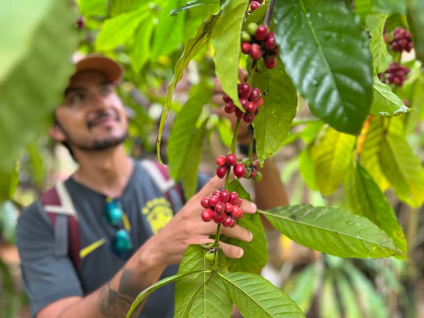 Las Terrenas: Private Coffee Trail ATV Tour in Samana - Meeting Vincent at KITEWORLD