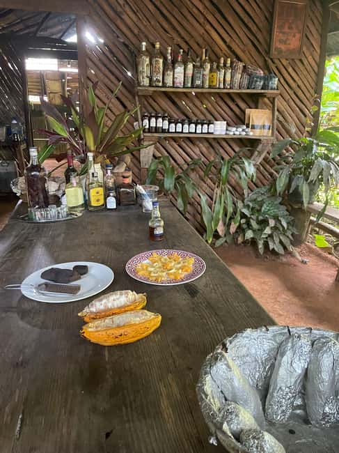 Las Terrenas: Private Coffee Trail ATV Tour in Samana - The final stretch to the mangrove beach