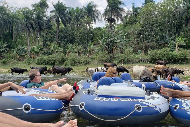 Lazy River Tubing Cabarete, Dominican Republic - What the $77 Price Really Covers