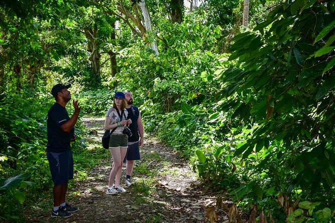 Let's do hiking in Punta Cana - The Anamuya route and rural views